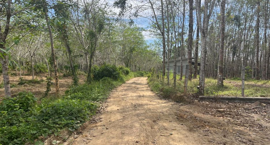 For sale land in Thai Mueang, Phang Nga
