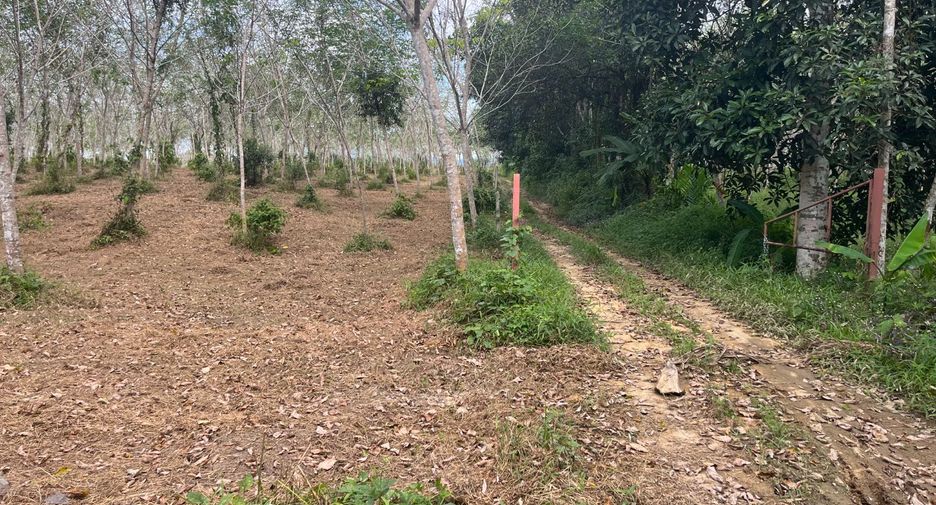 For sale land in Thai Mueang, Phang Nga