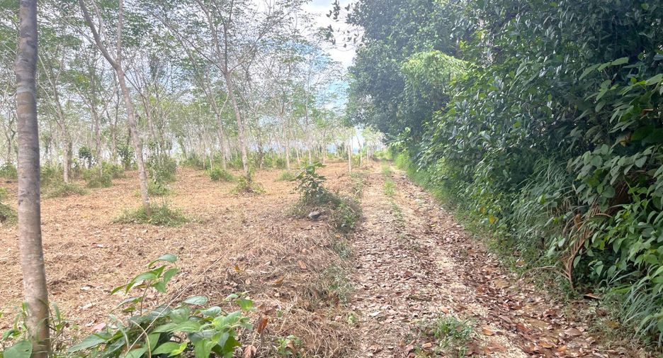 For sale land in Thai Mueang, Phang Nga