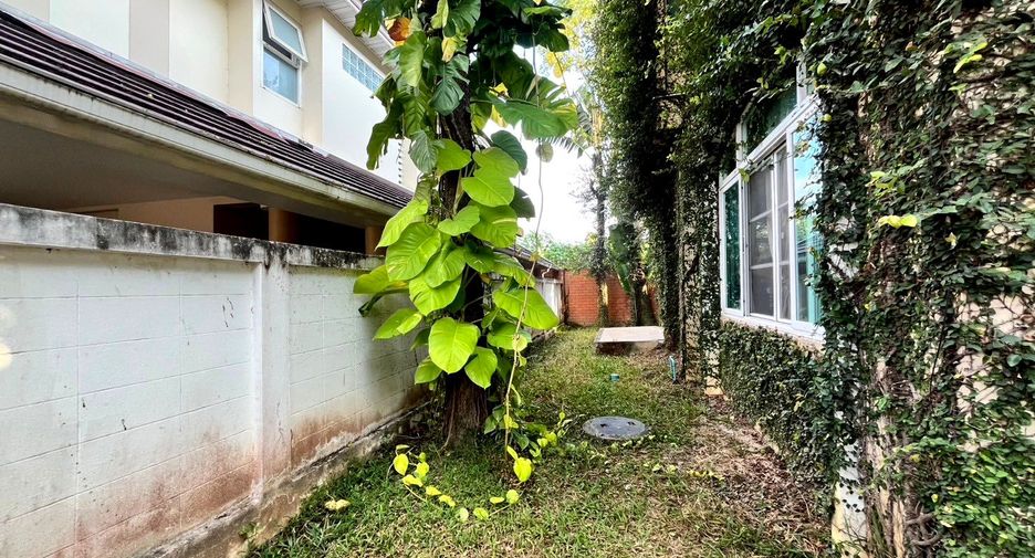 For rent 4 bedrooms house in Mueang Chiang Mai, Chiang Mai