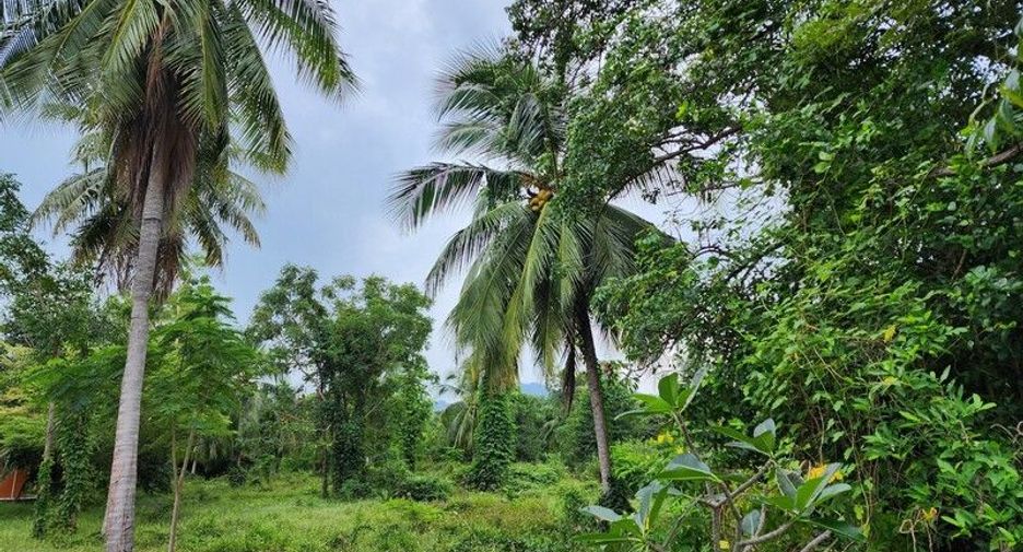 Terreno en venta en Sam Roi Yot, Prachuap Khiri Khan