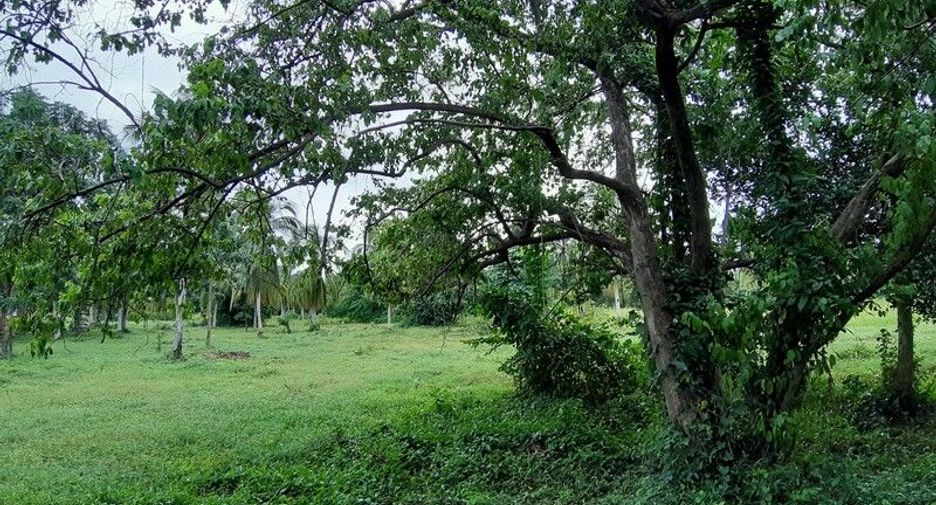 Terreno en venta en Sam Roi Yot, Prachuap Khiri Khan