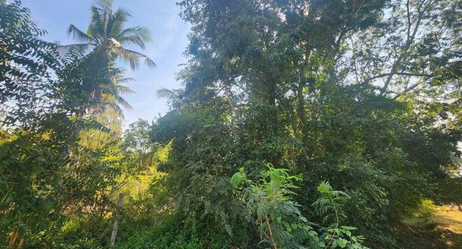 Terreno en venta en Sam Roi Yot, Prachuap Khiri Khan
