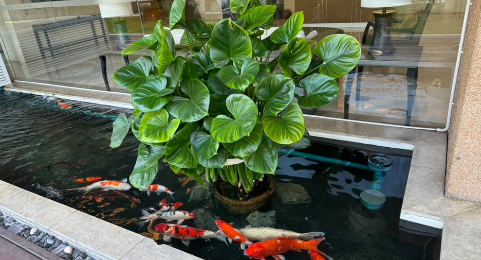 For sale 4 bedrooms condo in Khlong Toei, Bangkok