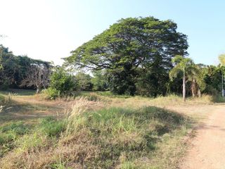 For sale land in Mueang Udon Thani, Udon Thani