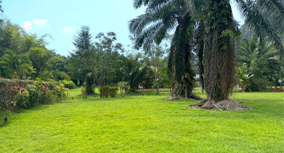 Grundstück zum Kauf in Mueang Krabi, Krabi