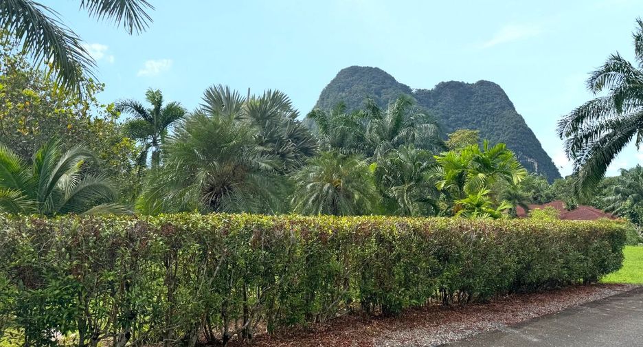 Grundstück zum Kauf in Mueang Krabi, Krabi