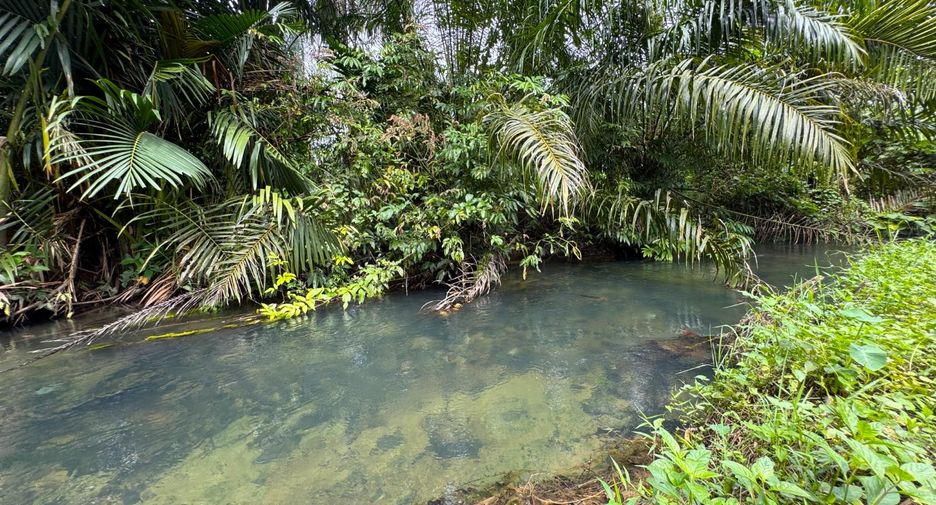 Grundstück zum Kauf in Mueang Krabi, Krabi