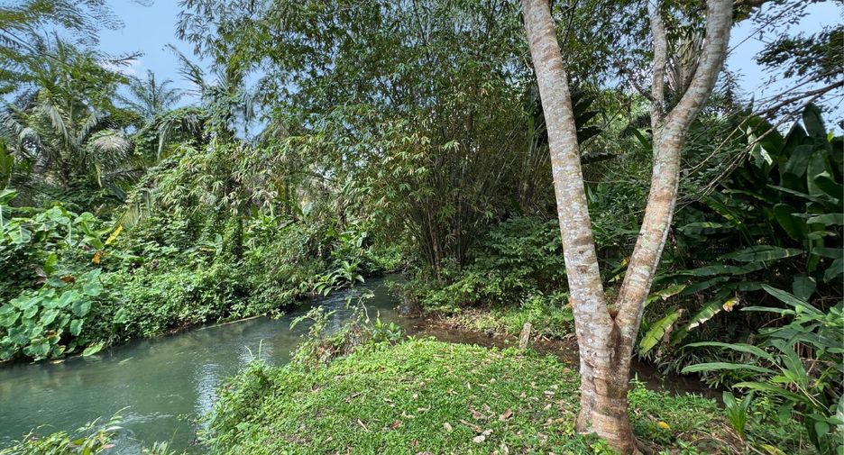 Grundstück zum Kauf in Mueang Krabi, Krabi