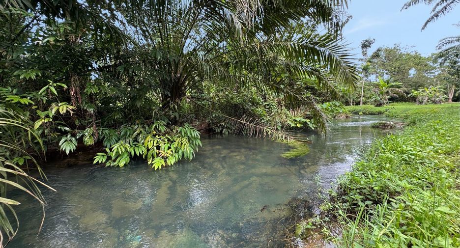 Grundstück zum Kauf in Mueang Krabi, Krabi