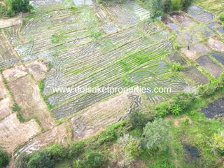 ขาย ที่ดิน ใน ดอยสะเก็ด, เชียงใหม่