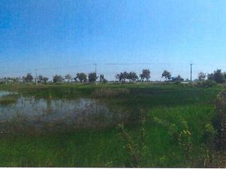 For sale land in Song Phi Nong, Suphan Buri