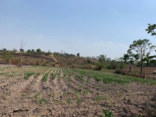 For sale land in Wiang Chiang Rung, Chiang Rai