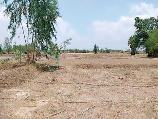 For sale land in Prachak, Udon Thani