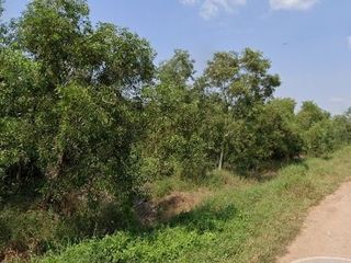 出售 土地 在 Nong Chok, 曼谷