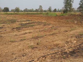 For sale land in Wichian Buri, Phetchabun