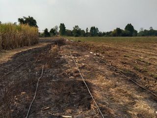 For sale land in Wichian Buri, Phetchabun