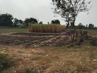 For sale land in Wichian Buri, Phetchabun