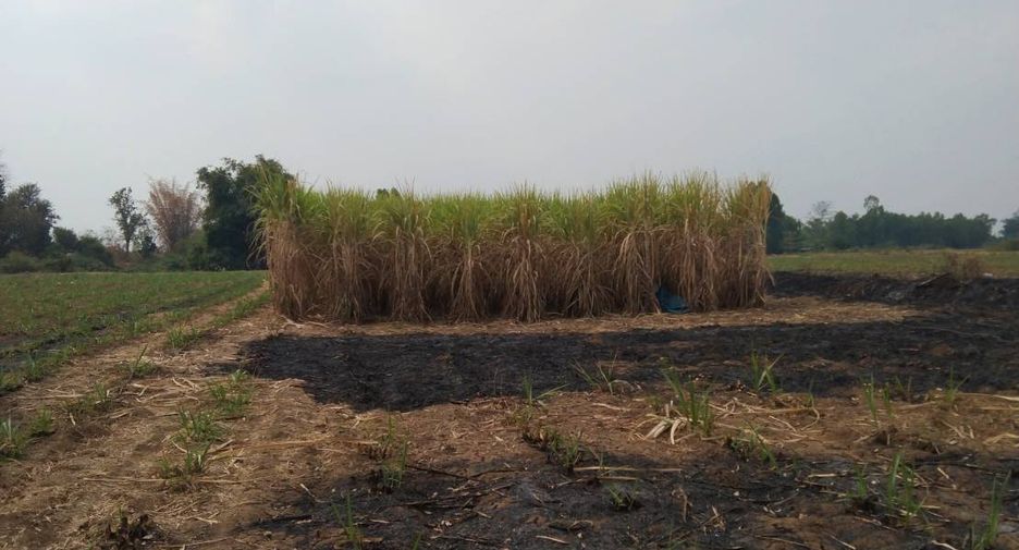 For sale land in Wichian Buri, Phetchabun