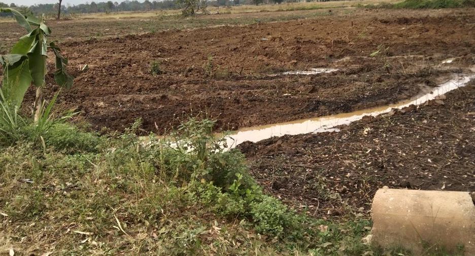 For sale land in Wichian Buri, Phetchabun