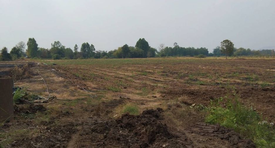 For sale land in Wichian Buri, Phetchabun
