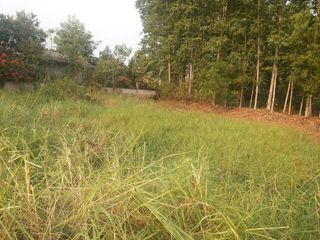 For sale land in Pak Phli, Nakhon Nayok
