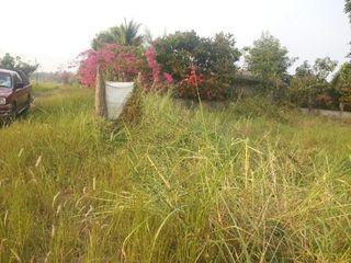 For sale land in Pak Phli, Nakhon Nayok