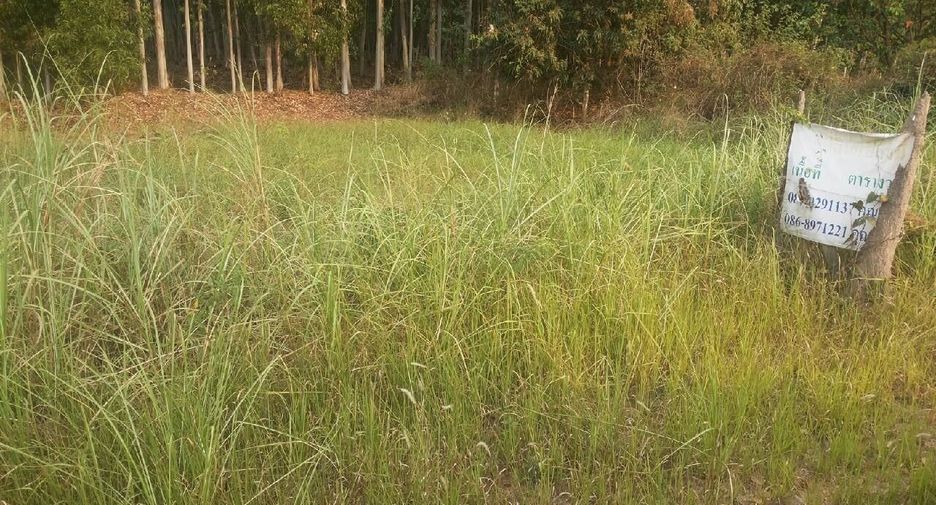 À vendre terrain à Pak Phli, Nakhon Nayok