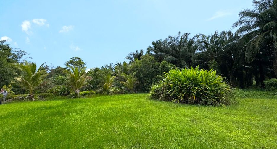 Grundstück zum Kauf in Mueang Krabi, Krabi