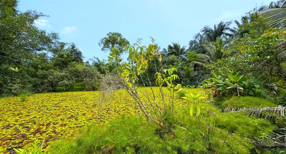 Grundstück zum Kauf in Mueang Krabi, Krabi