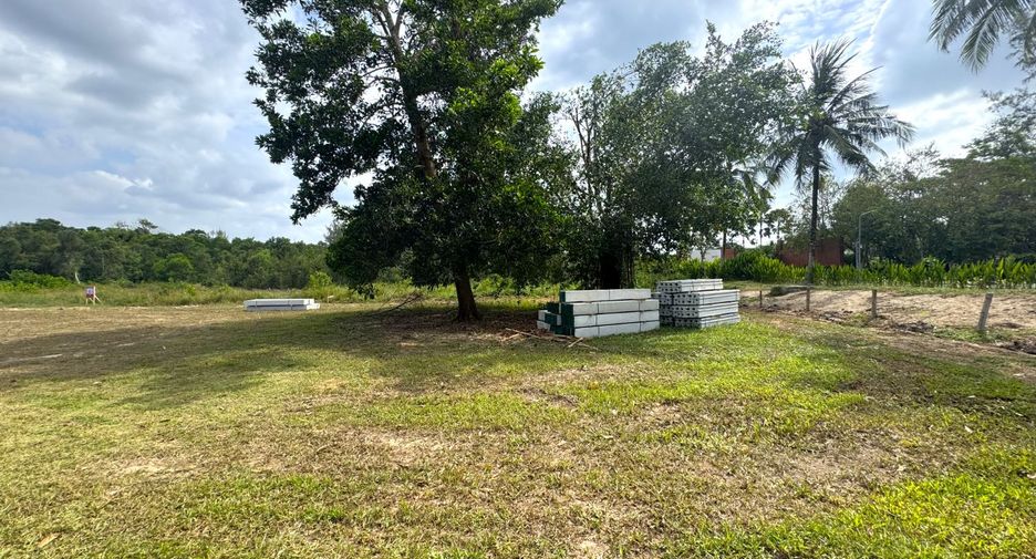 For sale land in Thai Mueang, Phang Nga