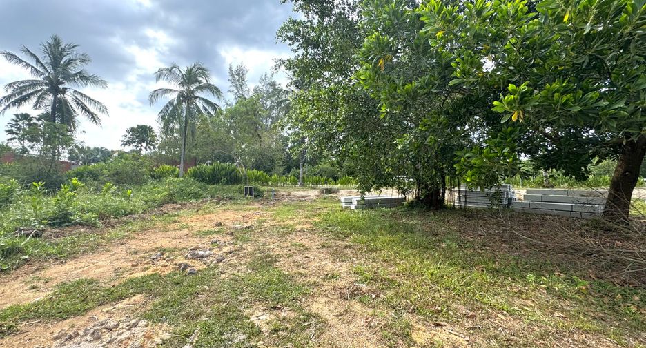 For sale land in Thai Mueang, Phang Nga