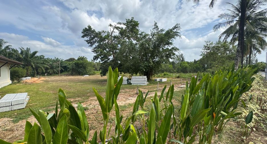 For sale land in Thai Mueang, Phang Nga