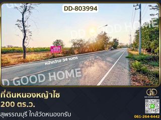 出售 土地 在 Nong Ya Sai, Suphan Buri