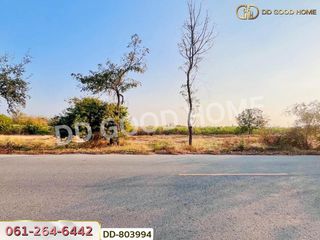出售 土地 在 Nong Ya Sai, Suphan Buri