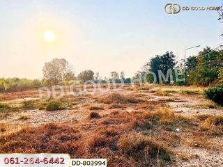 出售 土地 在 Nong Ya Sai, Suphan Buri