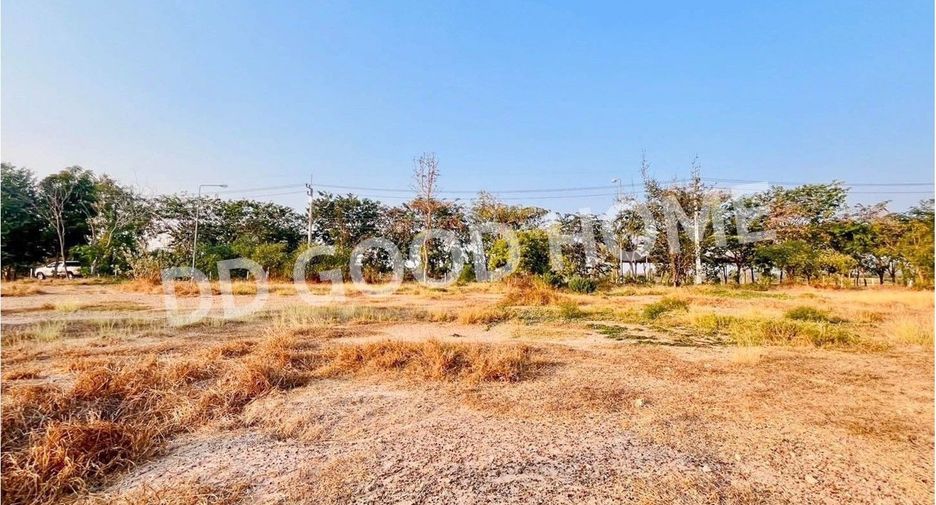 For sale land in Nong Ya Sai, Suphan Buri