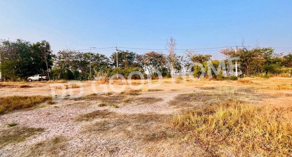 For sale land in Nong Ya Sai, Suphan Buri