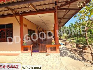 For sale land in Sena, Phra Nakhon Si Ayutthaya