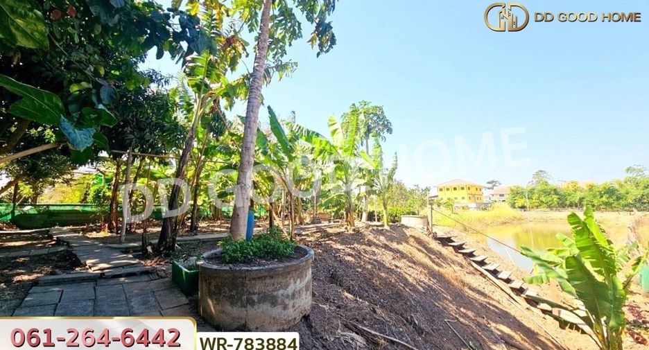 Terreno en venta en Sena, Phra Nakhon Si Ayutthaya