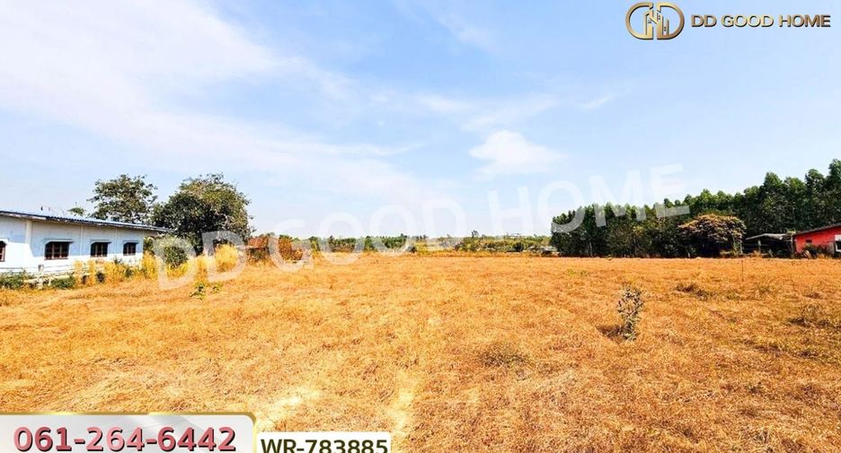 For sale land in Phanat Nikhom, Chonburi