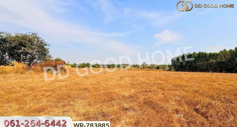 For sale land in Phanat Nikhom, Chonburi