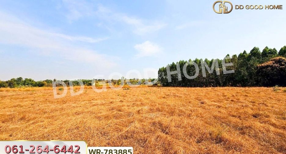 For sale land in Phanat Nikhom, Chonburi