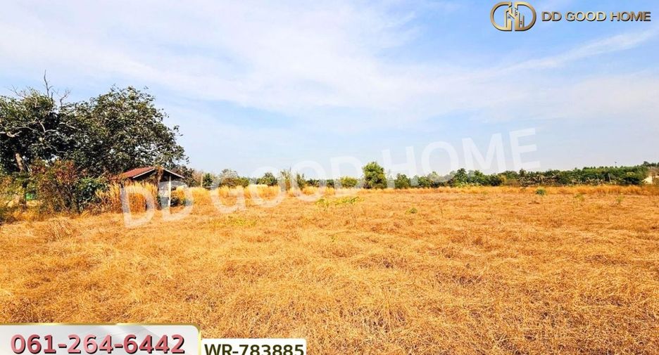 For sale land in Phanat Nikhom, Chonburi