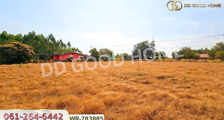 For sale land in Phanat Nikhom, Chonburi