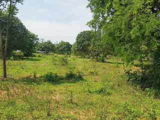 ขาย ที่ดิน ใน ปากท่อ, ราชบุรี