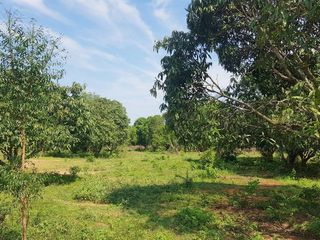 ขาย ที่ดิน ใน ปากท่อ, ราชบุรี