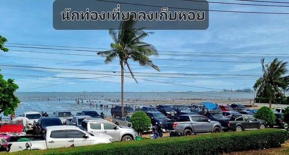 ให้เช่า และ ขาย 4 ห้องนอน วิลล่า ใน บางละมุง, ชลบุรี