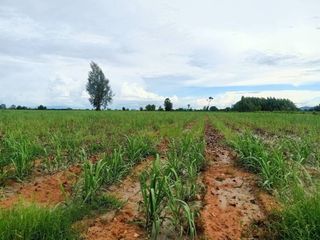 For sale land in Chom Bueng, Ratchaburi
