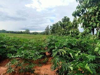For sale land in Chom Bueng, Ratchaburi
